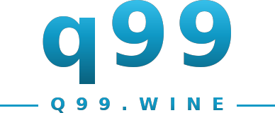 q99 logo